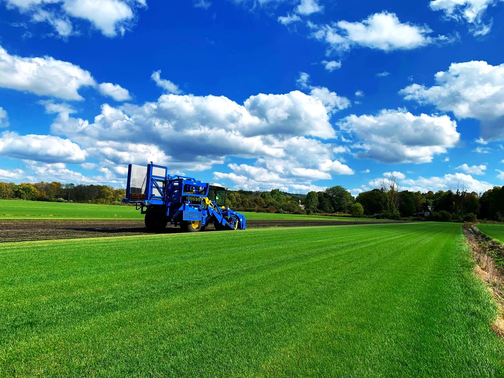Turf Removal And Disposal
